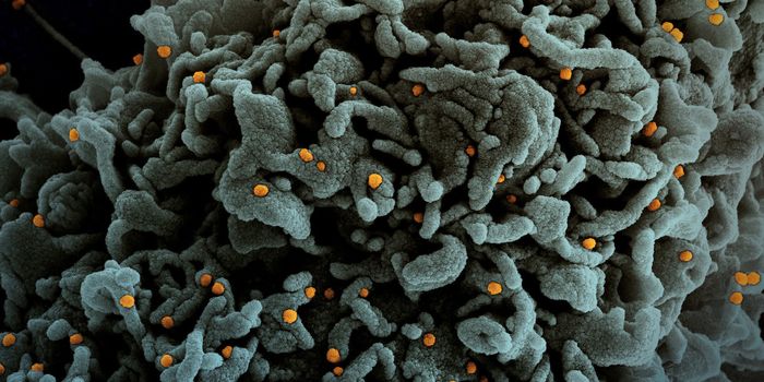 Heavily Mutated COVID-19 B.1.1.529 Variant Emerges, WHO Names It Omicron