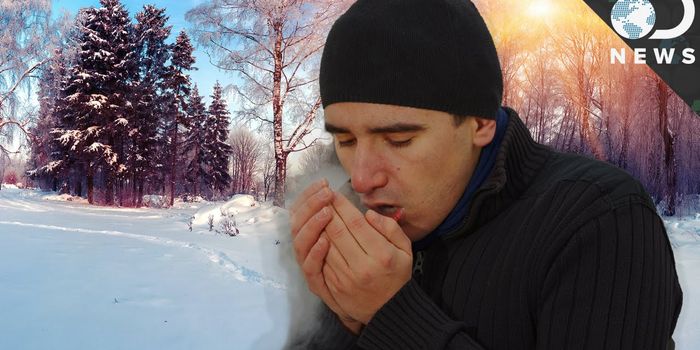 Here's Why Our Bodies Don't Like Winter So Much