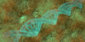 New Proteins Can Emerge From 'Nothing'