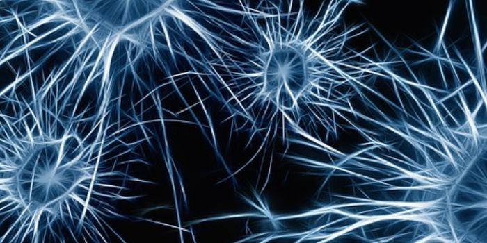 A Genetic Cause for Some Brain Tumors is Revealed