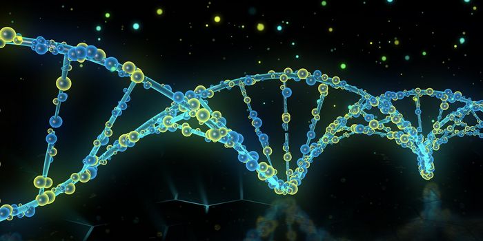 Chromosomes Stay in a 'Liquid' State