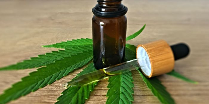 People Taking Medicinal Cannabis Report Greater Well-Being