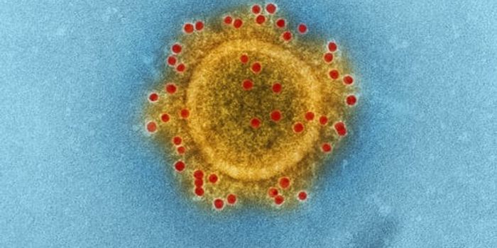 Drug Used for Ebola Virus Could Fight COVID19