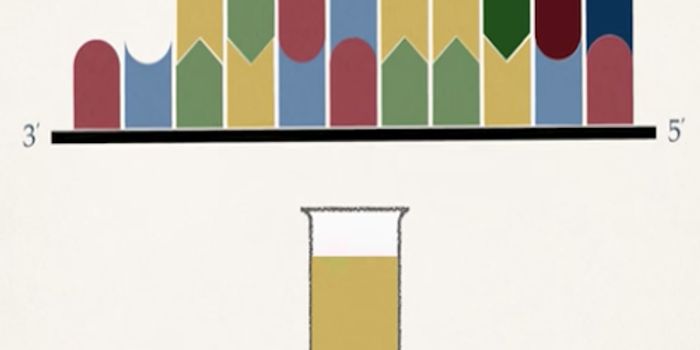 Bringing Genetics Research to the Developing World