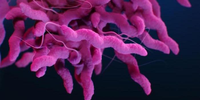 Will the Next Outbreak Come From Cattle?