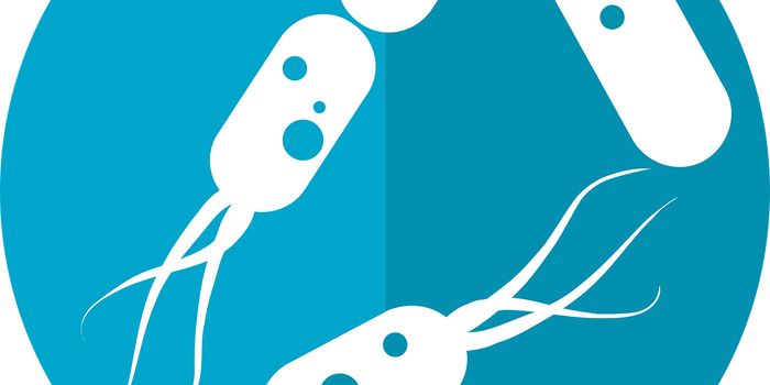 Gut Microbiota Promotes Resistance to Prostate Cancer Therapy