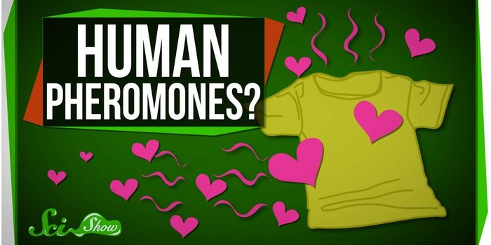 Are those the pheromones talking?