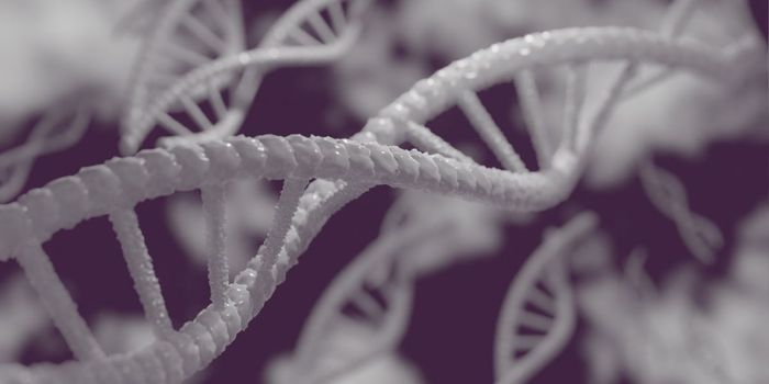 New Cancer Immunotherapy Targets Genetic Alteration in All Cancers