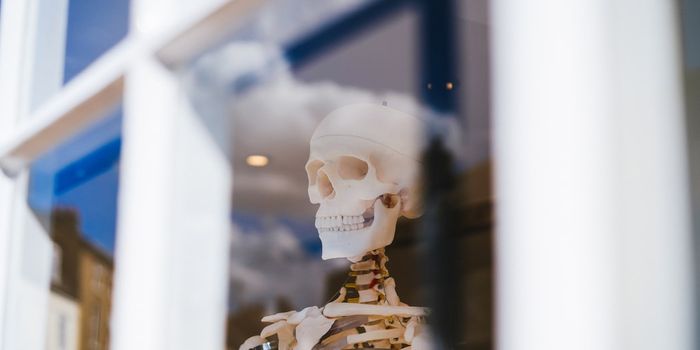 Novel Drug To Treat Osteoporosis