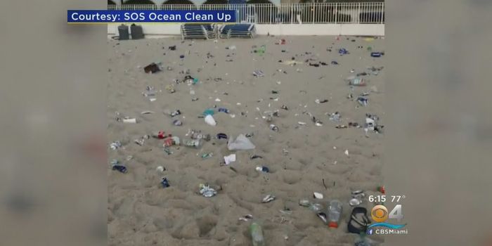 Spring Break Impacts the Environment