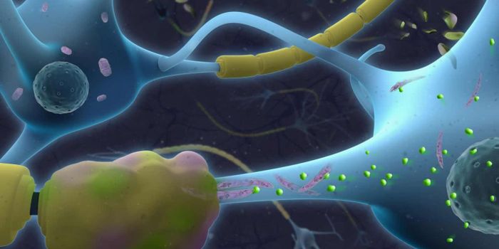 The Composition of Cerebrospinal Fluid in MS patients Could Be The Key To Treatments That Halt Progression