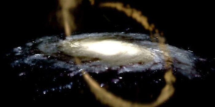 The Milky Way's Most Distant Stars May be Stolen From Other Galaxies