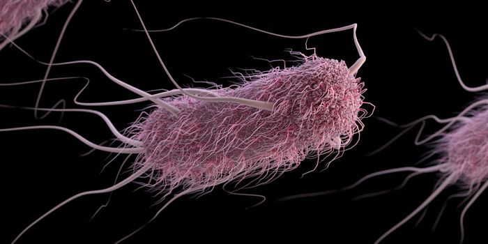 Rare Antibiotic Resistance Gene Found in NY Patients