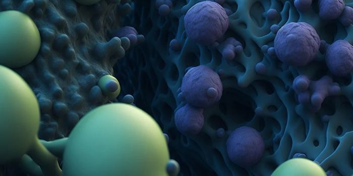 Specific Bacterial Strains are Linked to Inflammatory Bowel Disease