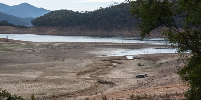 As Taps Run Dry in Multiple Cities, UN Warns of Looming Water Crises