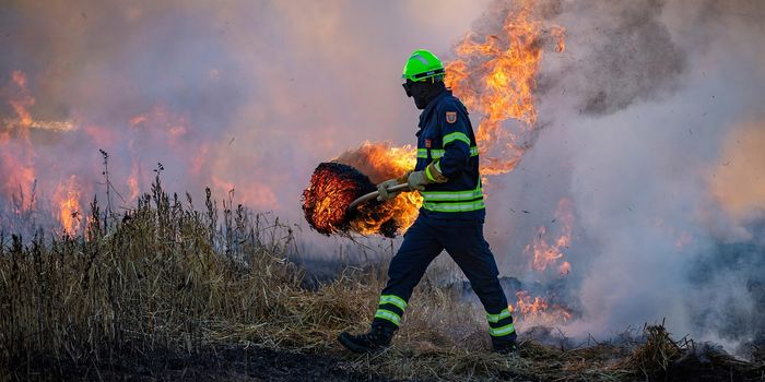 The Impact of Occupational Cancers on the Global Cancer Burden