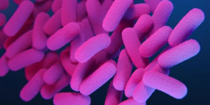 5,000-Year-Old Cave Ice Bacteria is Resistant to Ten Modern Antibiotics