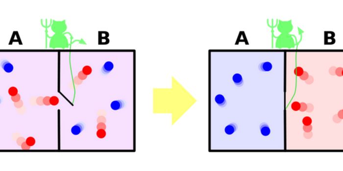 Maxwell's Demon in the Quantum State