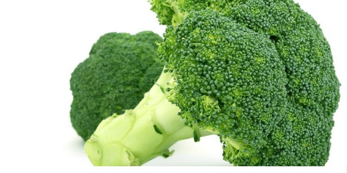 Broccoli Extract Could Help Treat Type 2 Diabetes