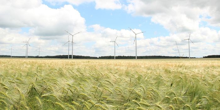 Clean Energy Aspirations Hide Increasing Fossil Fuel Extraction