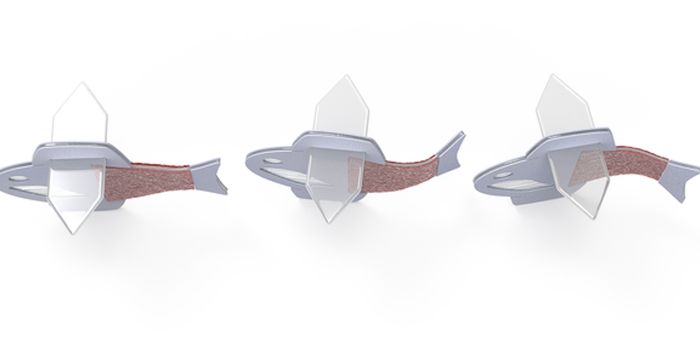 With Beating Heart Cells, Scientists Create a Biohybrid 'Fish'