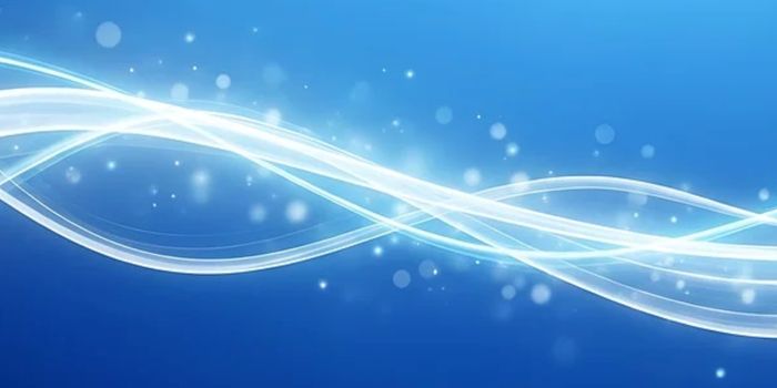 DNA Structure Maps Reveal More About Gene Activity