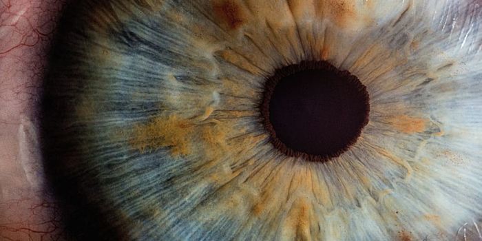 A New Approach in Glaucoma Treatment
