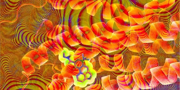 LSD Potently Locks Into its Receptor