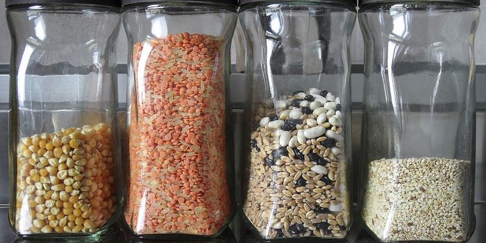 Plant Proteins Trump Animal Proteins When it Comes to Heart Health