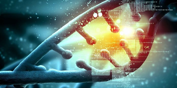 Gene Profiling Breaks Down Decisions Made in the Immune System