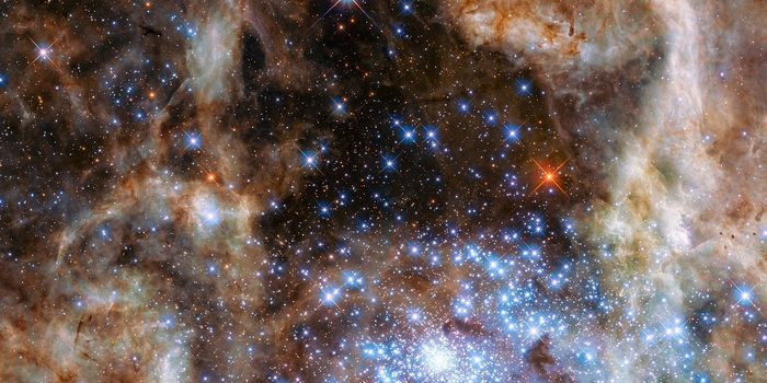 NASA's Flying Observatory Helps Researchers Study the LMC's Tarantula Nebula
