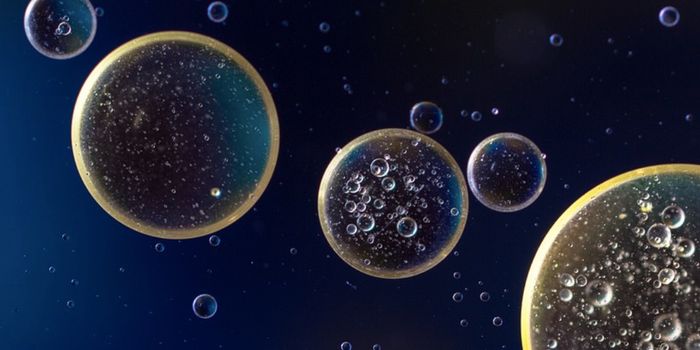 What are Circular RNAs & Can They Aid Cancer Treatment?