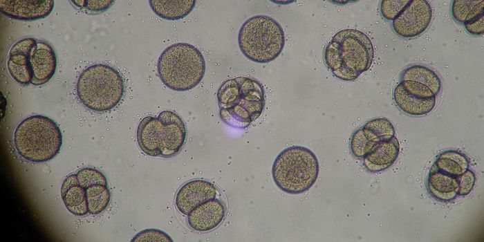 Gene Expression Predicts Therapeutic Efficacy