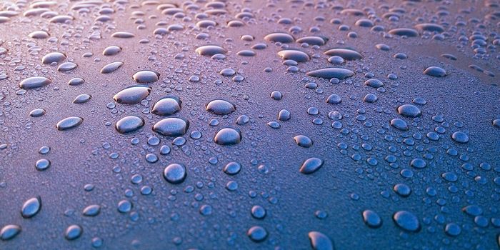 A Hydrogel That Can Pull Water From the Air