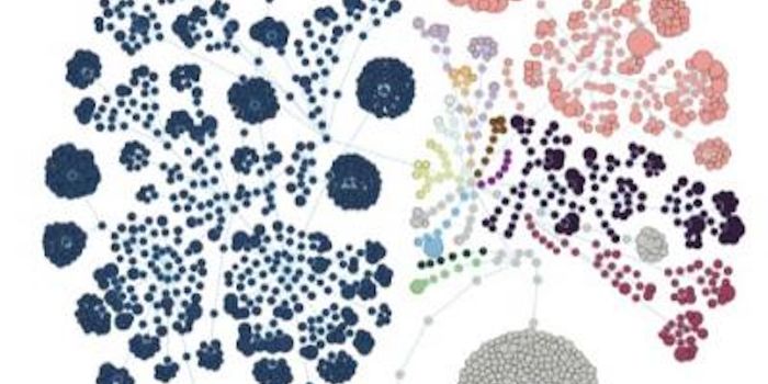 Fibromyalgia Linked to Gut Microbes