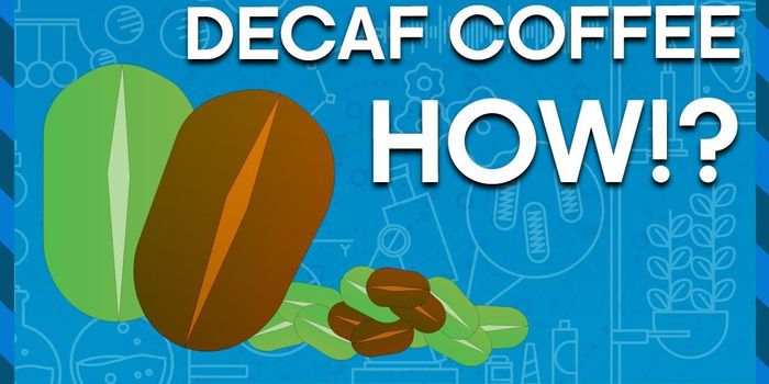 Decaffeinating Coffee