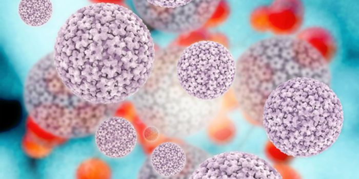 Why Some HPV Infections Go Away and Others Become Cancer