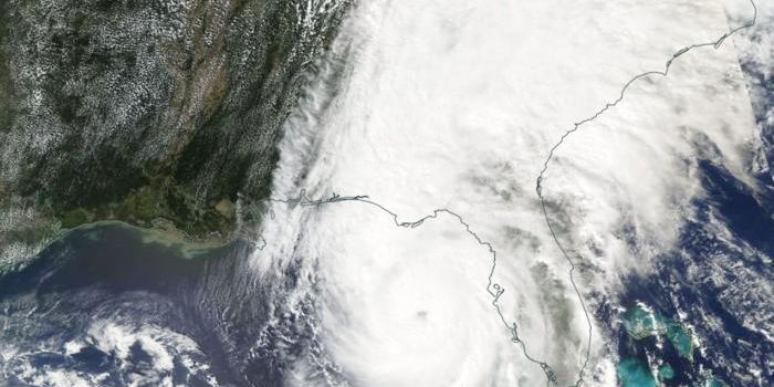 Ocean Hot Spots Drive Rapid Hurricane Expansion