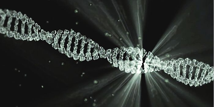 Epigenetic Changes Make Breast Cancer Cells Drug Resistant