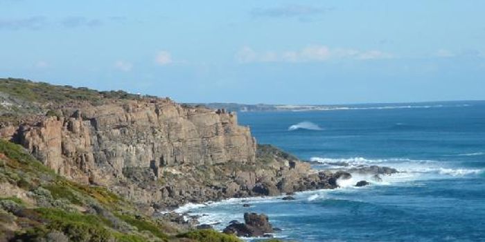 Coastal zones act as important CO2 sinks