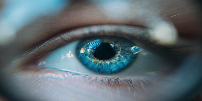 Looking into the eyes of MS patients for personalized therapies