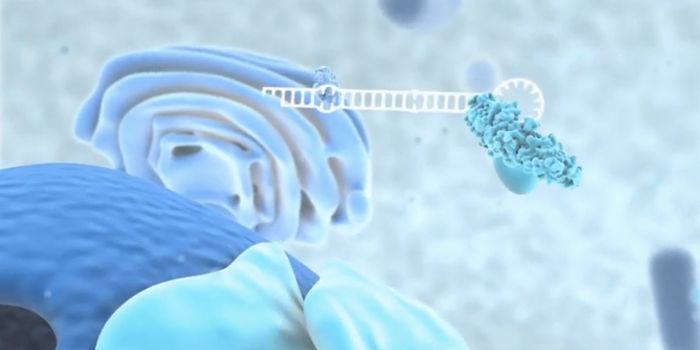 Finding a Way to Treat Dangerous Protein Aggregates