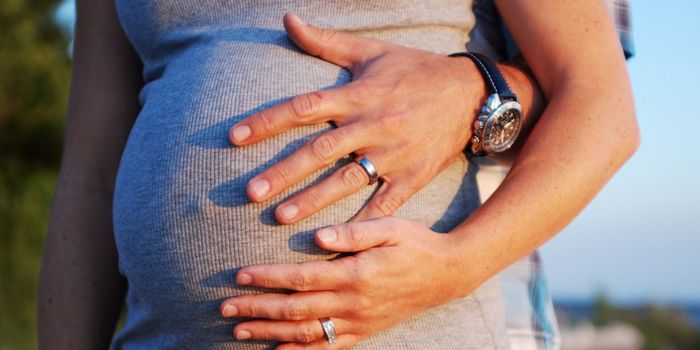 Pregnancy Alters the Stress Response in Surprising Ways
