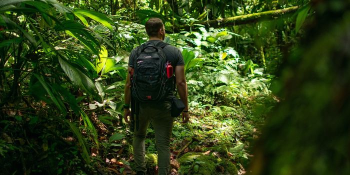 A Portable Ebola Detector, 1000x More Sensitive Than Lab-Based Tests