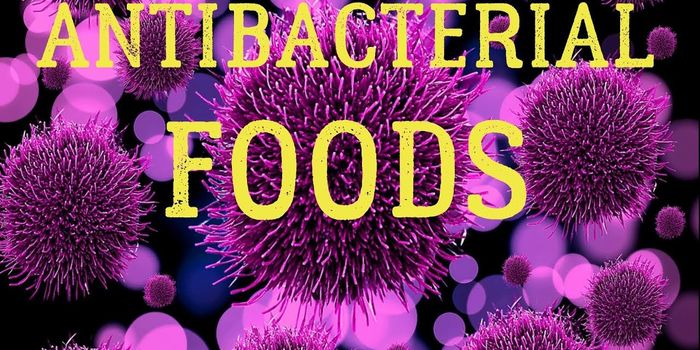 Bacteria-Fighting Foods