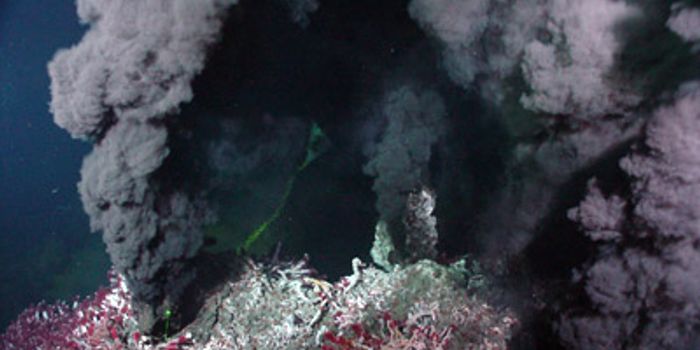 Characterization of the Last Universal Common Ancestor