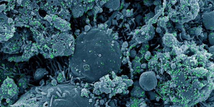 New Model Teaches Us More About Why the Delta Variant is So Infectious