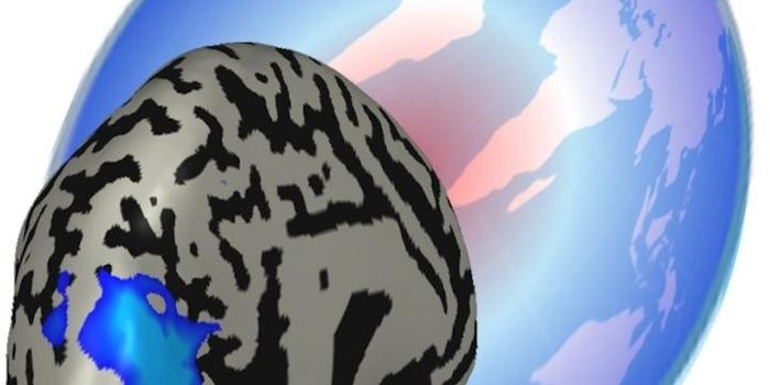 Brain's Spacial Knowledge Can Develop Without Sight Input