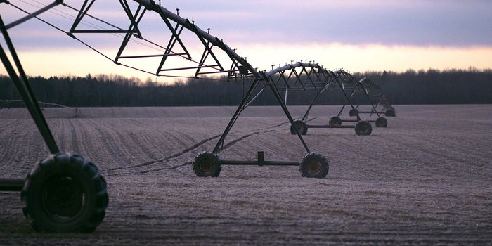 Digging Deeper Won't Solve Groundwater Depletion