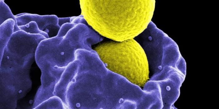 Antibiotic Resistance is Still on the Rise